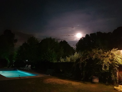 pileta noche para web.jpg